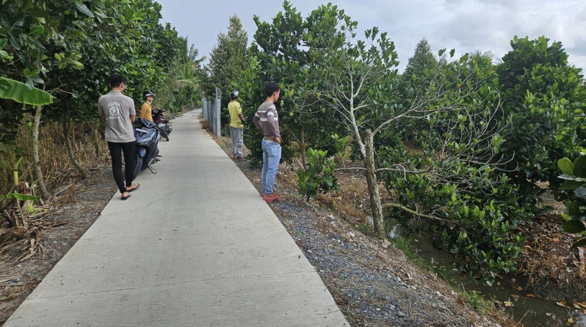 Vườn Mít 6200m Tân Hưng, Thành Tân, Vĩnh Long cẩn bán