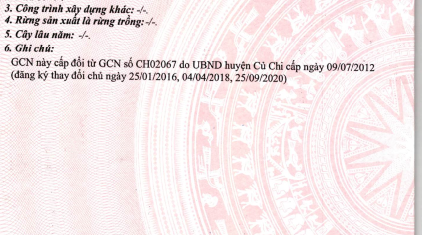 Đất 55x100 MT giáp hải, Trung Lập Hạ, Củ Chi 