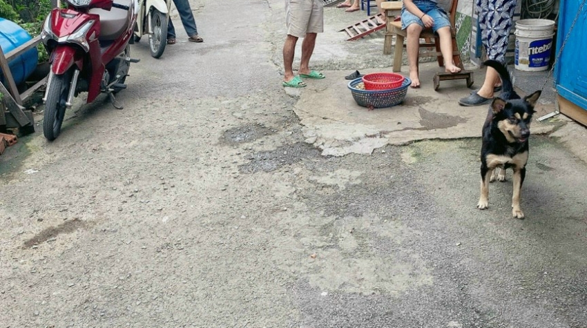 -Cần bán dãy nhà trọ hẻm 4m đường số 6 p. Linh Xuân Q. Thủ Đức.